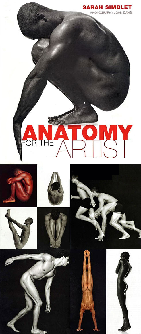 Anatomy for the artist jeno barcsay pdf files pdf
